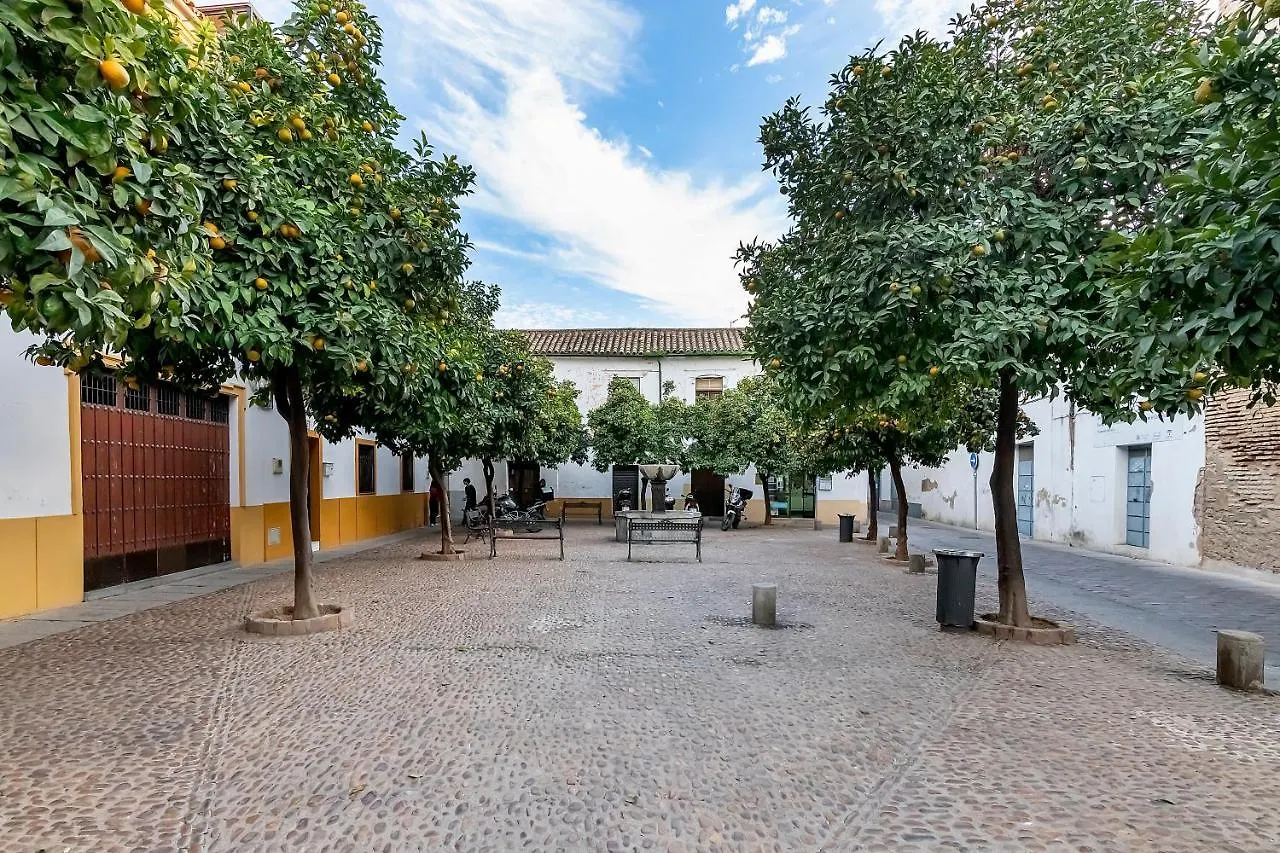 Bhost - Regina III Apartment Cordoba